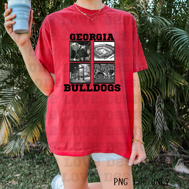 Georgia Photo Vinyl Tee